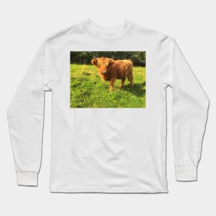 Scottish Highland Cattle Calf 2085 Long Sleeve T-Shirt